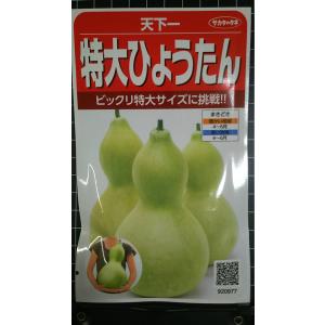 ３袋以上でクーポン割引 特大 ひょうたん 天下一 種 郵便は送料無料
