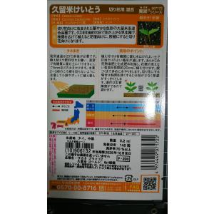3袋以上でクーポン割引 久留米 けいとう 混合...の詳細画像1
