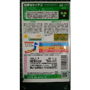 3袋以上でクーポン割引 ワイルドストロベリー ...の詳細画像1