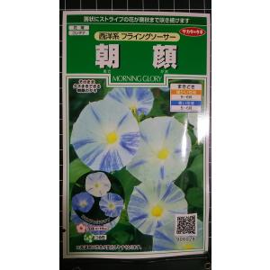 ３袋以上でクーポン割引 朝顔 西洋系 フライングソーサー あさがお 種 郵便は送料無料