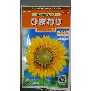 ３袋以上でクーポン割引 ひまわり 巨大輪 向日葵 種 郵便は送料無料