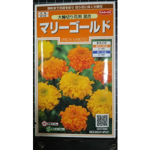 ３袋以上でクーポン割引 マリーゴールド 大輪 切り花 まんじゅぎく 万寿菊 種 郵便は送料無料