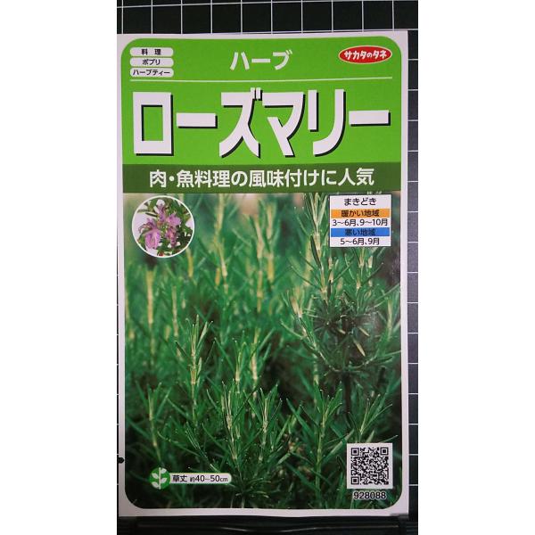 ３袋以上でクーポン割引 ローズマリー マンネンロウ ハーブ 種 郵便は送料無料