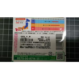 3袋以上でクーポン割引 赤花 千日紅 ストロベ...の詳細画像2