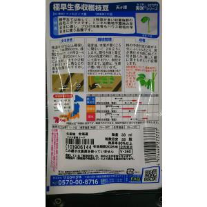 3袋以上でクーポン割引 極早生 枝豆 多収穫 ...の詳細画像1