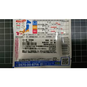 3袋以上でクーポン割引 極早生 枝豆 多収穫 ...の詳細画像2