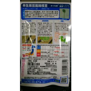 3袋以上でクーポン割引 早生 枝豆 茶豆風味 ...の詳細画像1