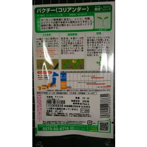 3袋以上でクーポン割引 パクチー コリアンダー...の詳細画像1