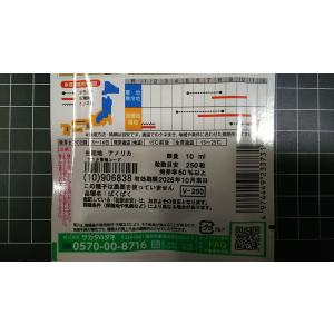 3袋以上でクーポン割引 パクチー コリアンダー...の詳細画像2