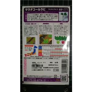 3袋以上でクーポン割引 サラダ コールラビ ラ...の詳細画像1