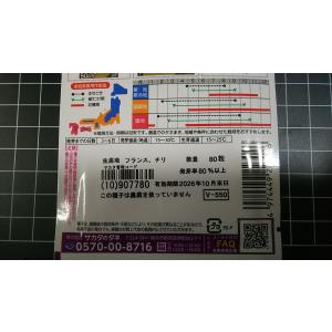 3袋以上でクーポン割引 サラダ コールラビ ラ...の詳細画像2