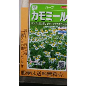 ハーブの種 ローズマリー サカタのタネ 0 2ml 多年草 春まき 秋まき 9280 rosemary Hana Uta 米沢園芸 Yahoo 店 通販 Yahoo ショッピング