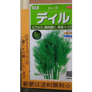 ディル イノンド ハーブ 種 郵便は
