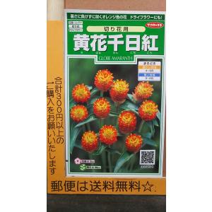 切り花用 種 花の種 の商品一覧 種 種子 花 ガーデニング 通販 Yahoo ショッピング