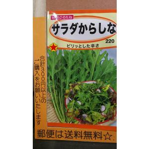 サラダからし菜 種の商品一覧 通販 Yahoo ショッピング