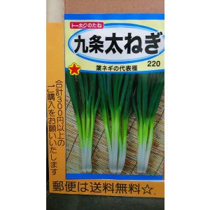 九条 太ねぎ 葉ネギ 種 郵便は