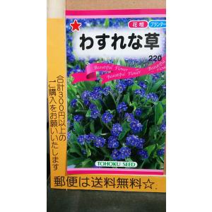 忘れな草 種 種子 の商品一覧 花 ガーデニング 通販 Yahoo ショッピング