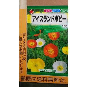 ３袋以上でクーポン割引 アイスランド ポピー シベリア ひなげし 種 郵便は送料無料