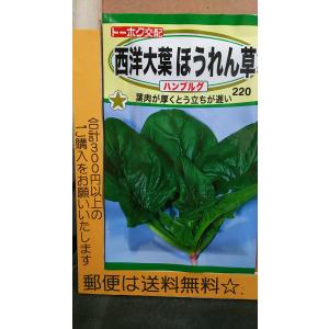 西洋 ほうれん草の商品一覧 通販 Yahoo ショッピング