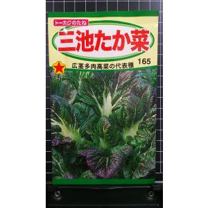 ３袋以上で割引 三池 たか菜 たかな 高菜 種 郵便は