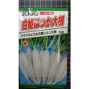 ３袋以上で割引 白姫はつか ミニ２０日 大根 種 郵便は