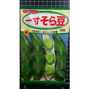 ３袋以上で割引 一寸 そら豆 ソラマメ 種 郵便は １寸