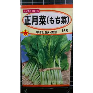 ３袋以上で割引 正月菜 もち菜 青菜 種 郵便は