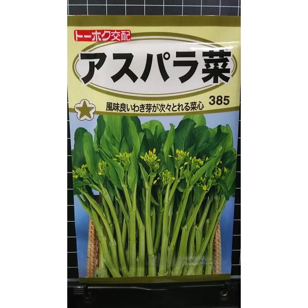 ３袋以上でクーポン割引 アスパラ菜 ナバナ アスパラナ 種 郵便は送料無料