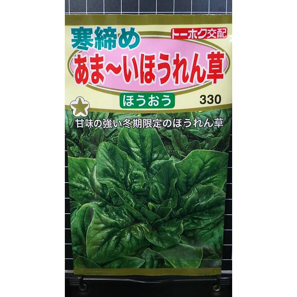 ３袋以上でクーポン割引 寒締め あまい ほうれん草 ほうおう 種 郵便は送料無料 ホウレンソウ