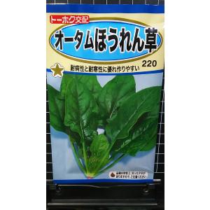 【有効期限3月】3袋以上でクーポン割引 オータム...の商品画像