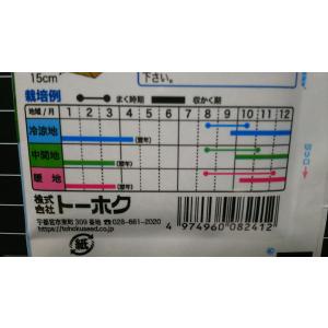 【有効期限3月】3袋以上でクーポン割引 オータ...の詳細画像2