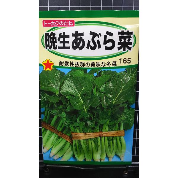 ３袋以上でクーポン割引 晩生 あぶら菜 油菜 アブラナ 冬菜 フユナ 種 郵便は送料無料