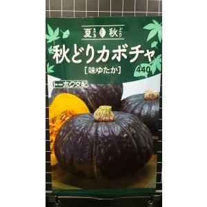かぼちゃ☆ カボチャ スイートタックル(R)｜種（タネ）,球根,苗,資材