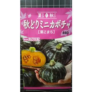カボチャとトマトの置物 Amazon.co.jp: JSBWSFA 1個 ガラス 野菜 装飾 ガラス カボチャ