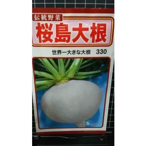 ３袋以上でクーポン割引 桜島 大根 種 郵便は送料無料 桜島だいこん