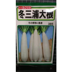 ３袋以上でクーポン割引 冬 三浦 大根 種 郵便は送料無料 だいこん みうら