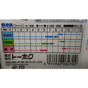 【有効期限3月】3袋以上でクーポン割引 玉ねぎ...の詳細画像2