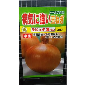 たまねぎ ソニック 4.5ml(約520粒) タキイ種苗（株） DF : グリーン