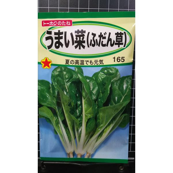 ３袋以上でクーポン割引 うまいな うまい菜 ふだん草 フダンソウ 種 郵便は送料無料