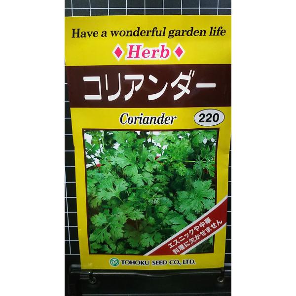 ３袋以上でクーポン割引 コリアンダー パクチー 種 郵便は送料無料