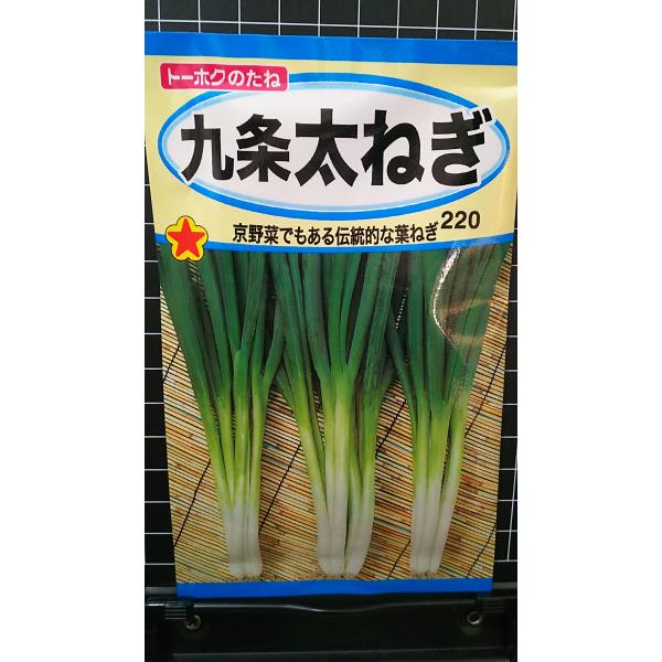 ３袋以上でクーポン割引 九条 太ねぎ 京野菜 フトネギ 葉ネギ 葱 種 郵便は送料無料