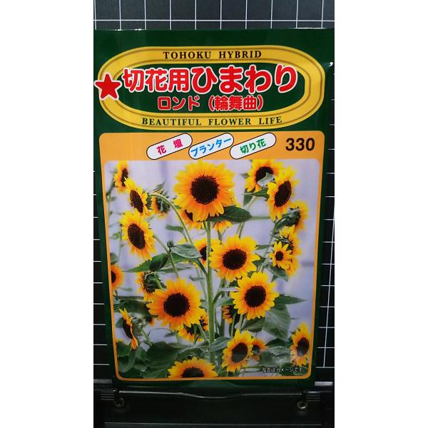 ３袋以上でクーポン割引 切花用 ひまわり ロンド 輪舞曲 向日葵 種 郵便は送料無料