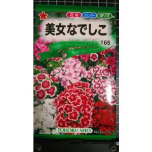 ３袋以上でクーポン割引 美女 なでしこ 撫子 種 郵便は送料無料