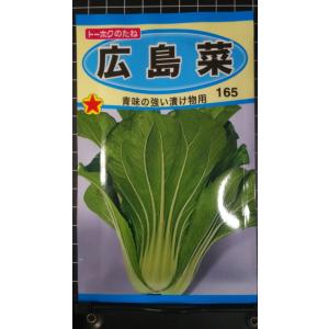 ３袋以上でクーポン割引 広島菜 ひろしまな 種 郵便は送料無料
