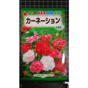 ３袋以上でクーポン割引 カーネーション 種 郵便は送料無料