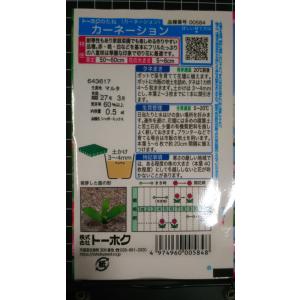 3袋以上でクーポン割引 カーネーション 種 郵...の詳細画像1