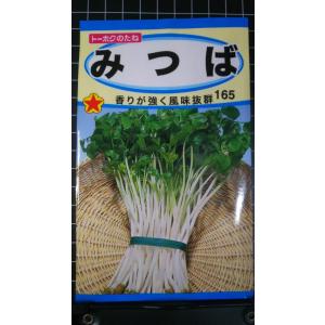 ３袋以上でクーポン割引 みつば 三つ葉 三葉 種 郵便は送料無料