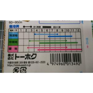3袋以上でクーポン割引 みつば 三つ葉 三葉 ...の詳細画像2