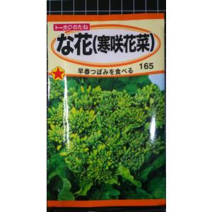 ３袋以上でクーポン割引 な花 寒咲 花菜 ナバナ ハナナ 種 郵便は送料無料