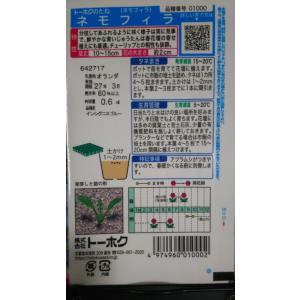 3袋以上でクーポン割引 ネモフィラ 種 郵便は...の詳細画像1